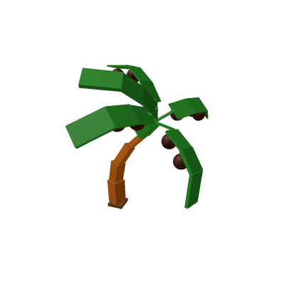 Coconut_grown