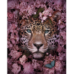 Jazzy Jaguars