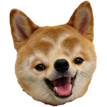 Oogism