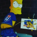 LOS TIGERSILLOS AZULES LDEA