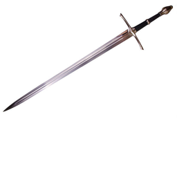 Sword Fight in the Desert