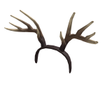 Deer Antlers