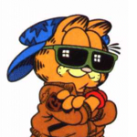 Concil of garfield