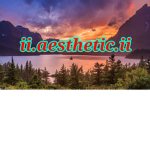 ii.aesthetic.ii