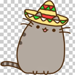 pusheen de mexico y eso