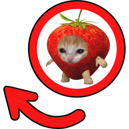 Strawberry Cat Meme Circle
