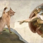 Superior Cat Group