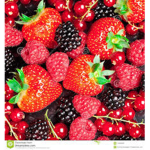 the-berry-fam