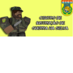 Centro de Instrução de Guerra na Selva |C.I|