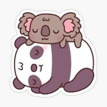 Pandas and koalas group