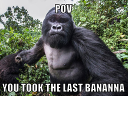 Monke Court