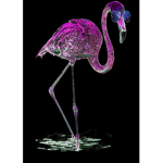 ~ Galaxy Flamingo's ~