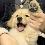 Sunny's Storage