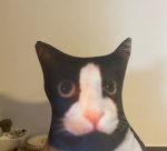 Kas per