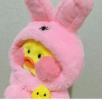 The Duckyy Cult
