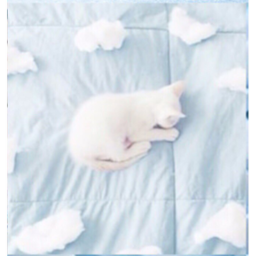 💙