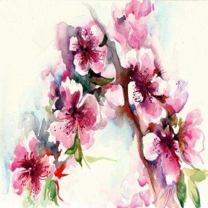 Cherry blossom flower painting Roblox decal