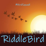 RiddleBird