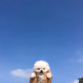 ʙᴀᴅ ᴛʜᴀᴛ