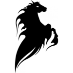 Pardus Inc®