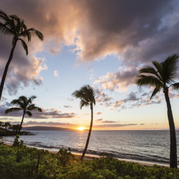 Hawaiian Beach Hangout