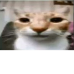 Offnoob34 group
