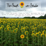 The Sunflower Studio
