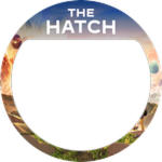 The Hatch
