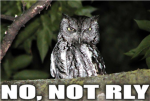 no, not rly.