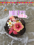 Marti's clothing
