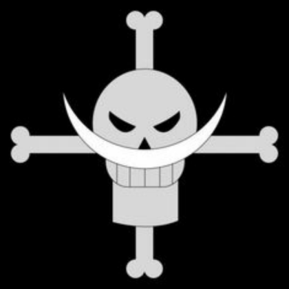 One piece Roblox decal