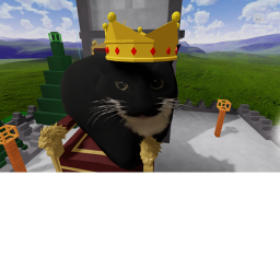 Chaos Kitty Kingdom