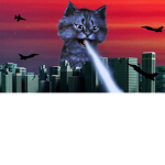 little robo cats