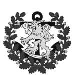 The Karelian Junta Navy