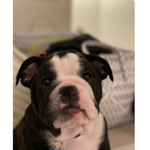 Dukeasaurus