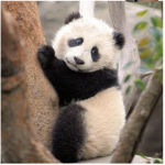 So so you all cute