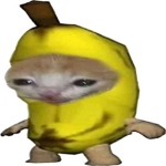 The Offcial Real Banana Cat Group