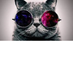meeeeew :3