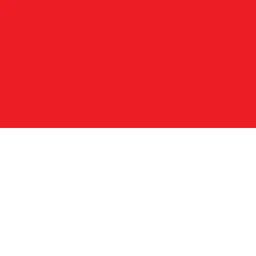 ERROR icon