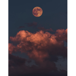 Moon - squad