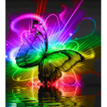 Rainbowbesties