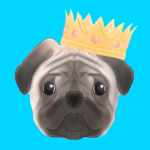 The Pug Kingdom Group