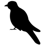 Team Shoulder Crow