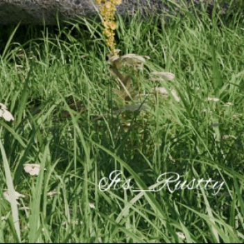 ★             ★                             ★