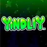 Yindliy Group Thumbnail