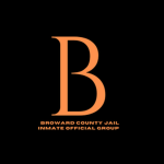Southwest Florida criminal team