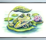 Henry’s Froggies