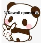 Kawaii x panda