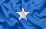 Somali World Order