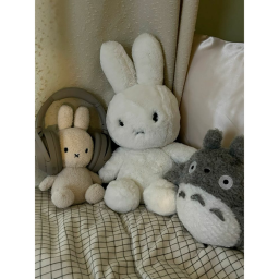 totoro